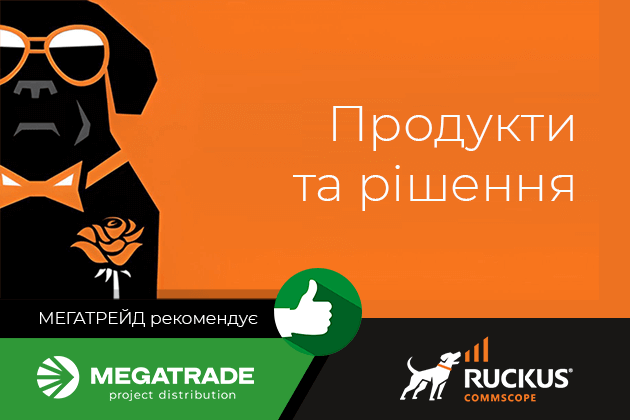 Вебінар Ruckus №2: продукти та рішення