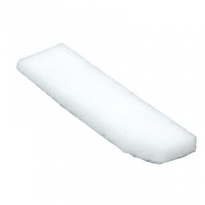 Ricoh Фільтруючий елемент фронтальний (D0093084)