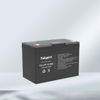 TD-LFP-12100E