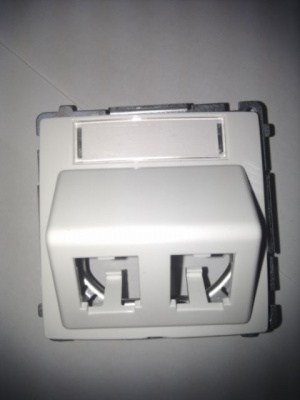 BMGPS2P.02/11