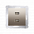 Розетка Premium USB 2x  5V 2.1A, золото (DC2USB.01/44)